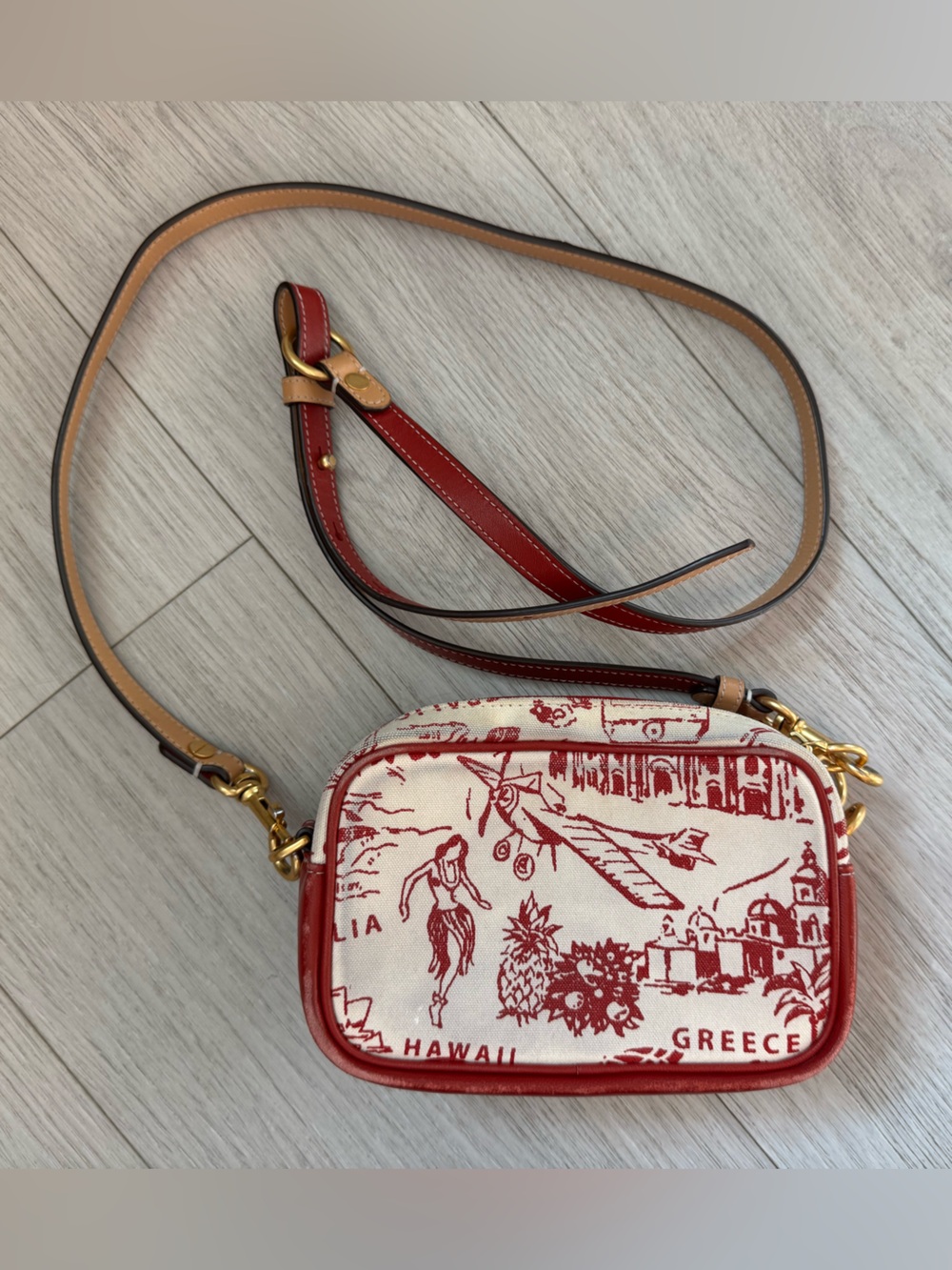 Tory Birch Red and Cream Travel Print Crossbody Camera Bag